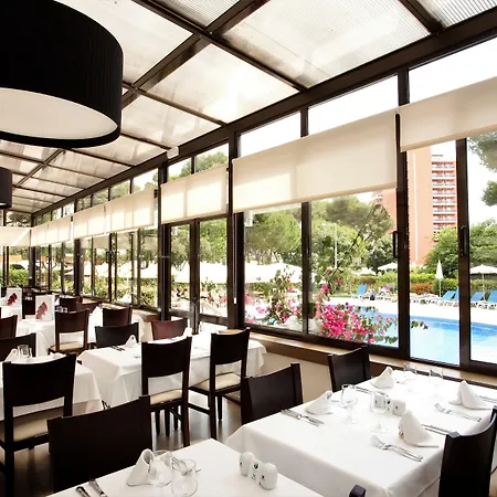 Pabisa Chico (adults Only)