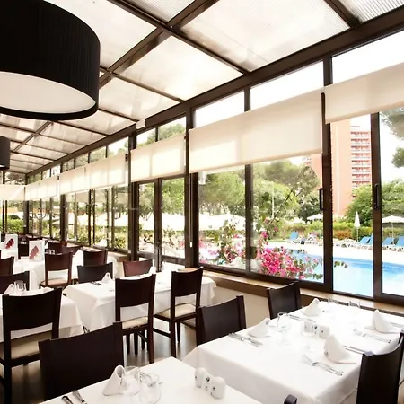 Pabisa Chico (adults Only) 酒店 帕尔马海滩