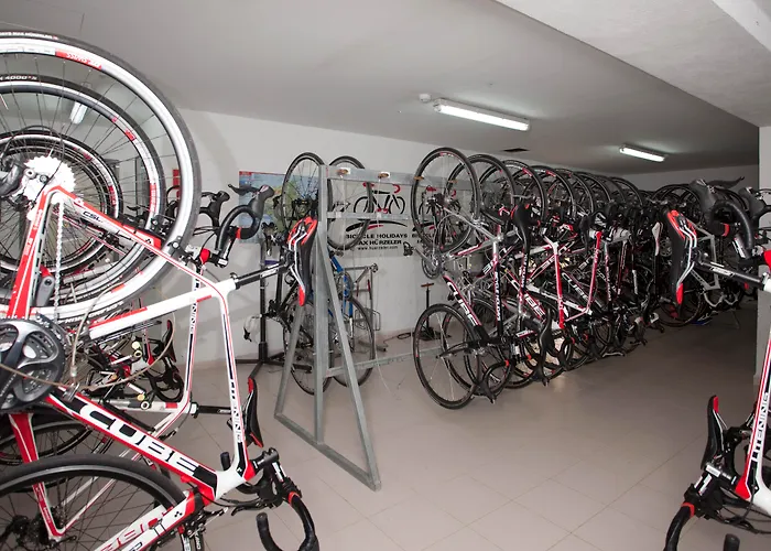 Pabisa Chico (adults Only) 4*